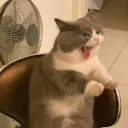 elaparte
