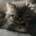 lezeth0