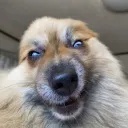 sali.0