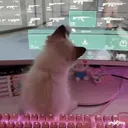 airwin_on