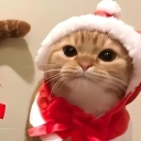 avatar ᴍᴀʀɪɪɴᴀx ❀