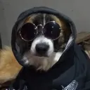 bvsebastian avatar