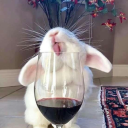 avatar 🌸Bardie🌸