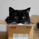 tamerstito