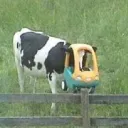 natalia050341