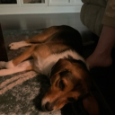 avatar C̸͊̾ắ̴l̴̃͝e̶͆̂b