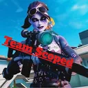 teamscopedmanager5585