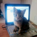 avatar mocha❤2013🕊