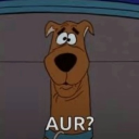 avatar Pj 2026🇺🇸🇺🇸🇺🇸