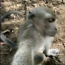 adamsandlerdocanaladamsandler avatar