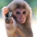 avatar DisorderedShrink