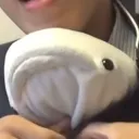 papuoon