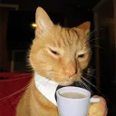 developer_mike