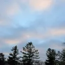 naturewalks_
