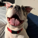 avatar CrusherNotDrip