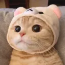 imaqt6191