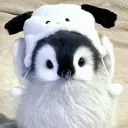 kumaisabear