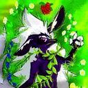 celosiafox