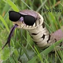 Image for snakez_7