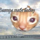chaipostav avatar