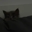 zxrtcm