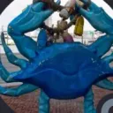 bowtiebluecrab