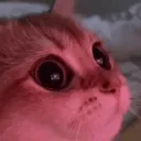 horangu
