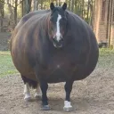 exciteabletom