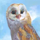 bairnowl