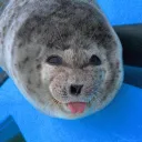 tntisthebomb