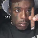 cartfein26