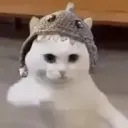 lpadrian1