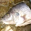 maikoshin