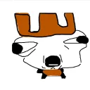 noobiszaki avatar