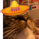 avatar SlowRacerGaming