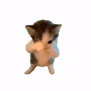 avatar HaDeS