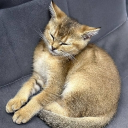 avatar julli under ахуеть