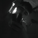 avatar-732722918223511584