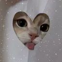 camilittta