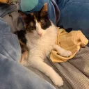 beeeatsdirt