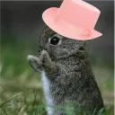 midnightbunnyy