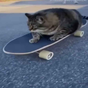 shooco1