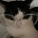 pancitcantonn
