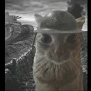 strawhat_snipez