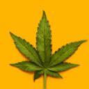 WEED TRISTE