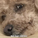 avatar abcdefghijllmnopqrstuvwxyz