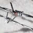 khorrl_palen's Avatar