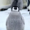 ahvnwithnoname