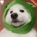772864