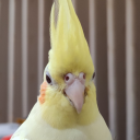 macjonny_design892's Avatar